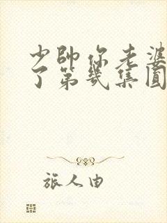 少帅你老婆又跑了第几集圆房