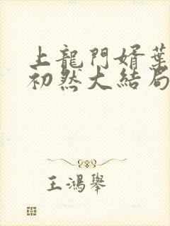 上龙门婿叶辰萧初然大结局