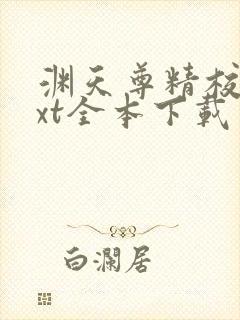 渊天尊精校版txt全本下载