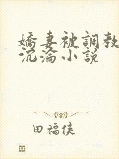 娇妻被调教开发沉沦小说