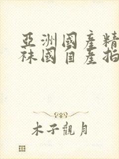 亚洲国产精品丝袜国自产拍av