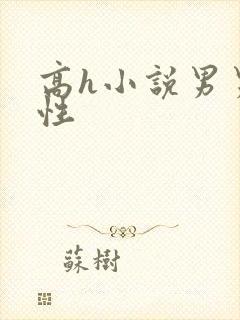 高h小说男男双性