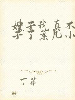 嫂子我真不是傻子了叶凡小说最新章节精校版