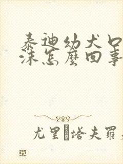 泰迪幼犬口吐白沫怎么回事