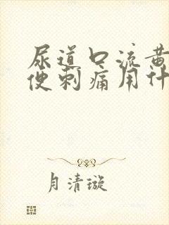 尿道口流黄脓小便刺痛用什么药