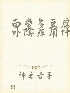 白带多豆腐渣状外阴痒用什么药