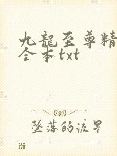 九龙至尊精校版全本txt