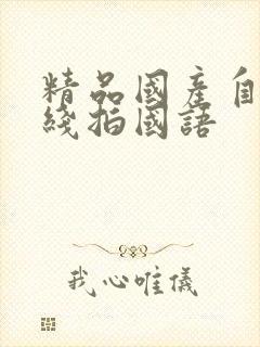 精品国产自在现线拍国语