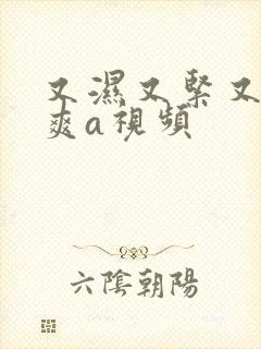 又湿又紧又大又爽a视频