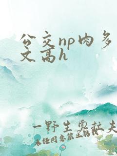 公交np肉多荤文高h