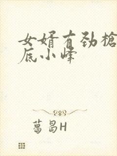 女婿有劲枪枪到底小峰