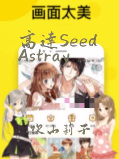 高达Seed Astray：结局+番外