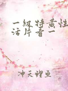 一级特黄性色生活片看一