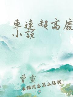 车速超高废文的小说