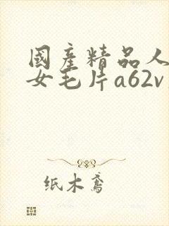 国产精品人妻熟女毛片a62v久久