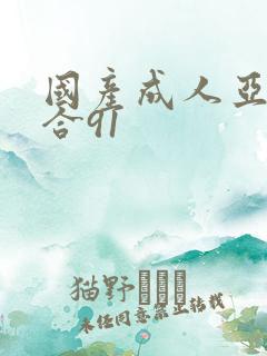 国产成人亚洲综合91