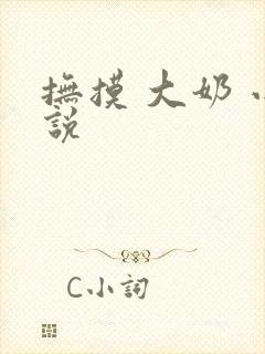 抚摸 大奶 小说