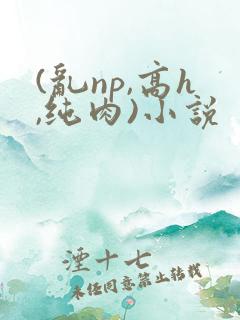 (乱np,高h,纯肉)小说