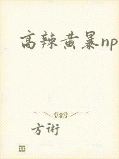高辣黄暴np文