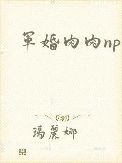 军婚肉肉np文