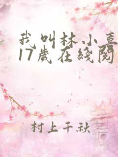 我叫林小喜今年17岁在线阅读