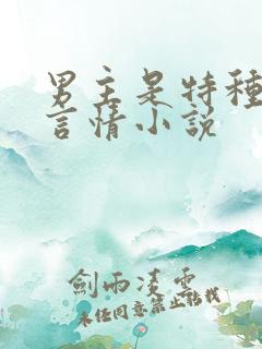 男主是特种兵的言情小说