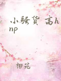 小骚货 高h np
