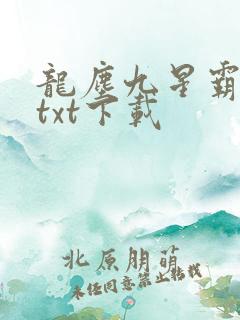龙尘九星霸体诀txt下载