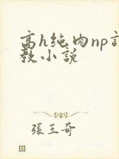 高h纯肉np调教小说
