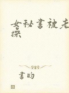 女秘书被老板狂操