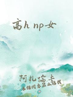 高h np女