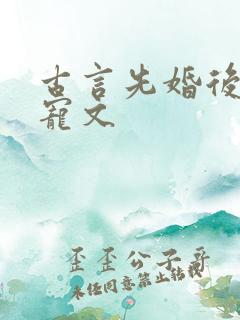 古言先婚后爱甜宠文