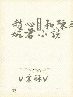 赵心睸和陈斌高婉君小说