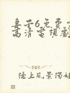 妻子6免费完整高清电视剧在线观看