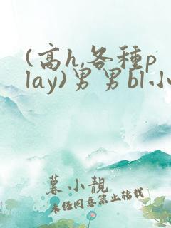 (高h,各种play)男男bl小说