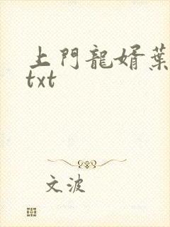 上门龙婿叶辰萧txt