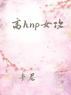 高hnp女攻