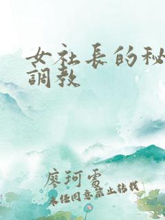 女社长的秘密奴调教