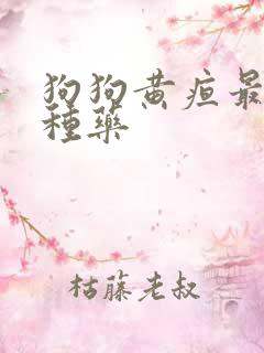 狗狗黄疸最怕两种药