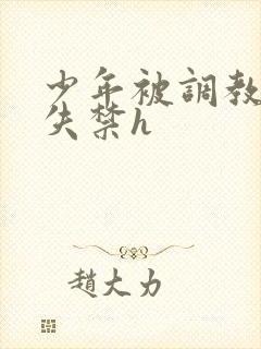 少年被调教爽到失禁h