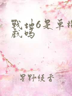 战地6是单机游戏吗