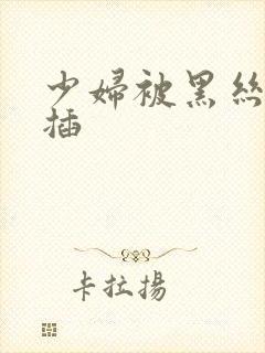 少妇被黑丝少妇插