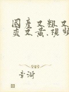 国产又粗又猛又爽又黄.视频