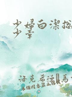 少妇白洁总共多少章