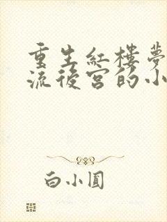 重生红楼梦之风流后宫的小说