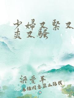 少妇又紧又大又爽又骚