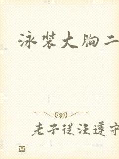 泳装大胸二次元