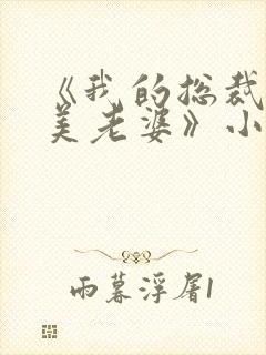 《我的总裁白富美老婆》小说