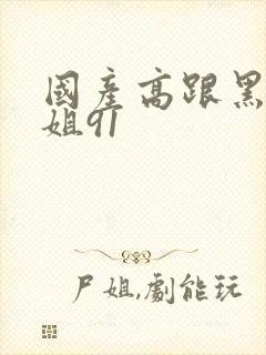 国产高跟黑丝御姐91