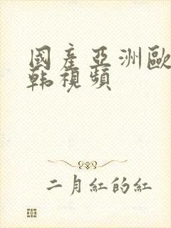 国产亚洲欧美日韩视频